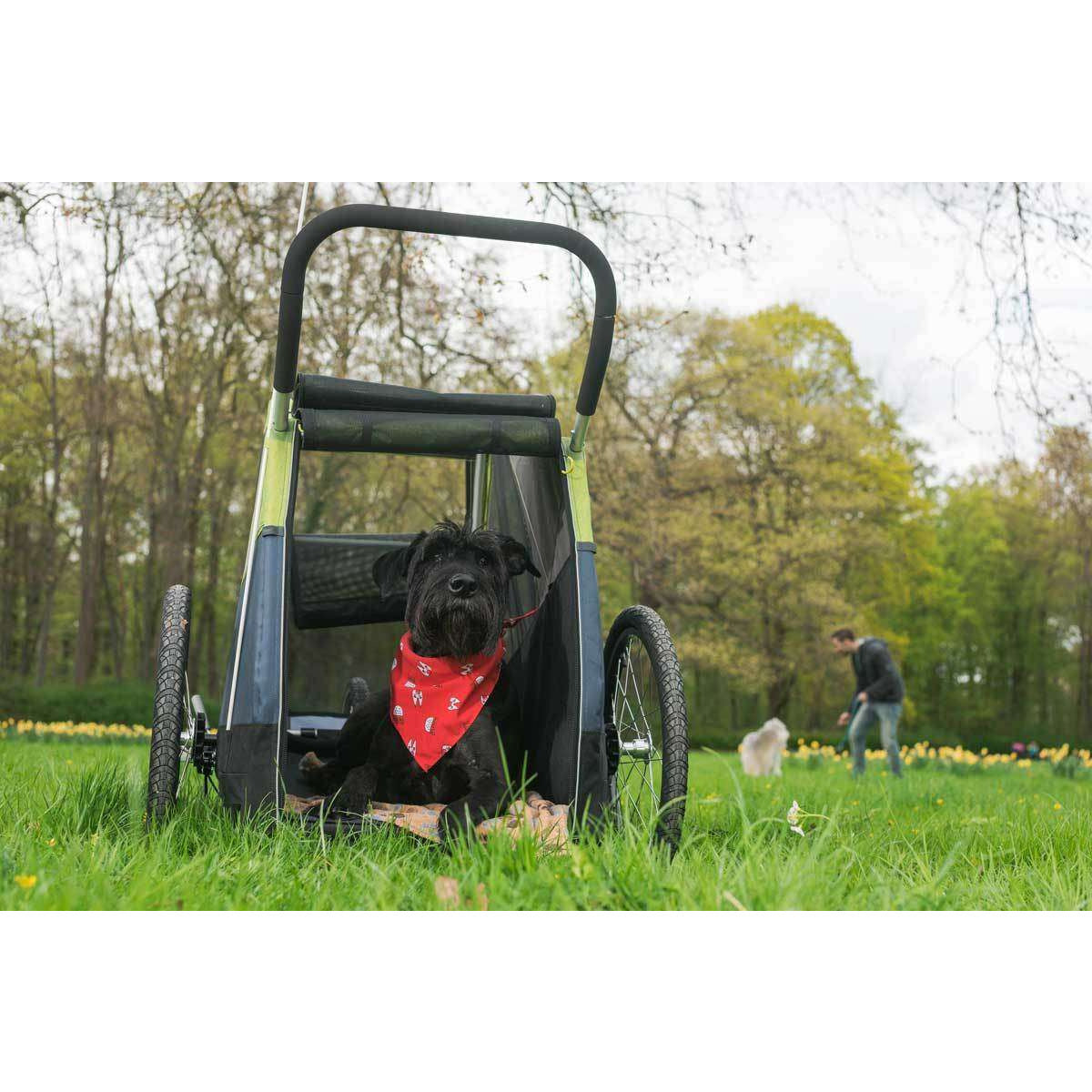 Croozer_DogXL_Buggy_Action01_2018_web Croozer_DogXL_Buggy_Action01_2018_web